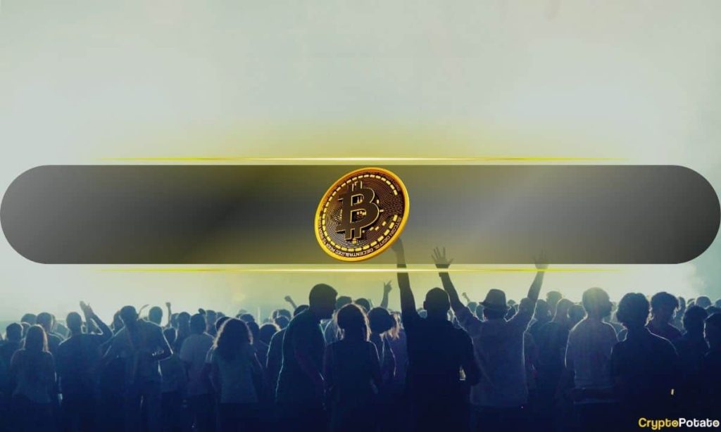 These Bitcoin Addresses Accumulated the Most BTC During Recent Rally to K: ITB