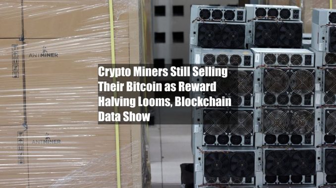 Crypto Miners Still Selling Their Bitcoin as Reward Halving Looms, Blockchain Data Show