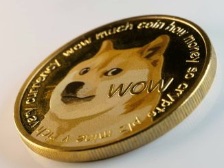 Dogecoin Stalls at $0.08 Barrier, Could This Metric Suggest Upcoming Rally?