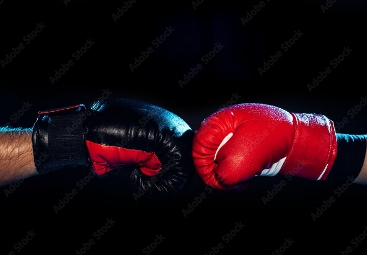 Let’s Get Ready To Rumble! Elon Musk And Cardano Team Up To Defend Bitcoin Against ECB Let’s Get Ready To Rumble! Elon Musk And Cardano Team Up To Defend Bitcoin Against ECB