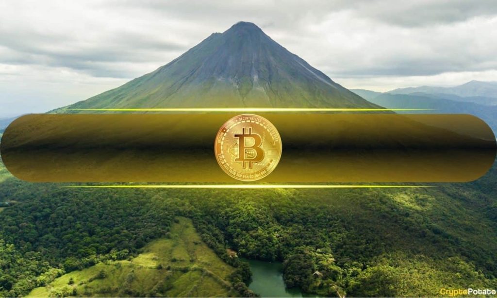 Massive Bitcoin Price Prediction by Pantera but BTC Maxis Won’t Like It Massive Bitcoin Price Prediction by Pantera but BTC Maxis Won’t Like It