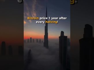 Bitcoin Price After Every Halving!