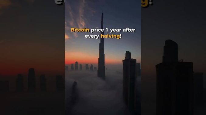 Bitcoin Price After Every Halving!