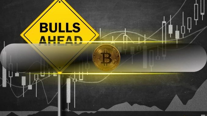 Bitcoin's 15% Correction Propelled by Profit-Taking but Bull Cycle Is Far From Over: CryptoQuant