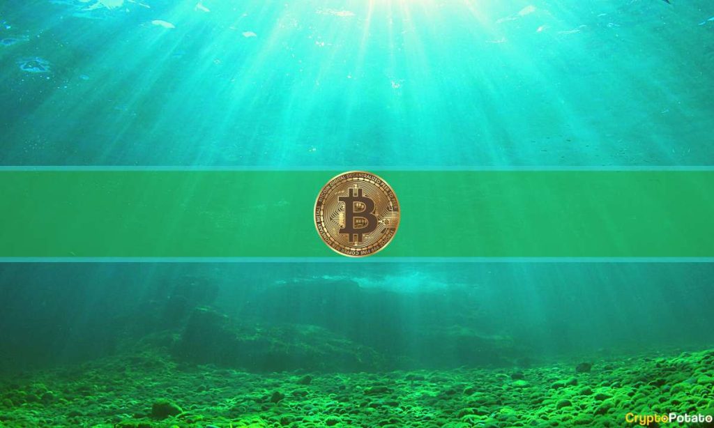 The Bottom Is In On Bitcoin’s Latest Pullback, Says Willy Woo The Bottom Is In On Bitcoin’s Latest Pullback, Says Willy Woo