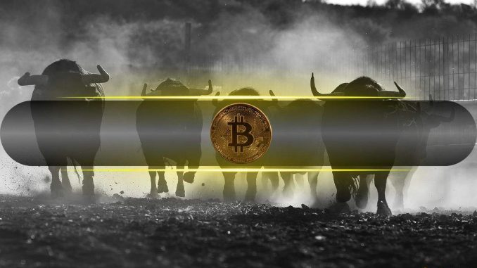 Bitcoin Market Dynamics Remain Bullish Post-Halving: Bitfinex