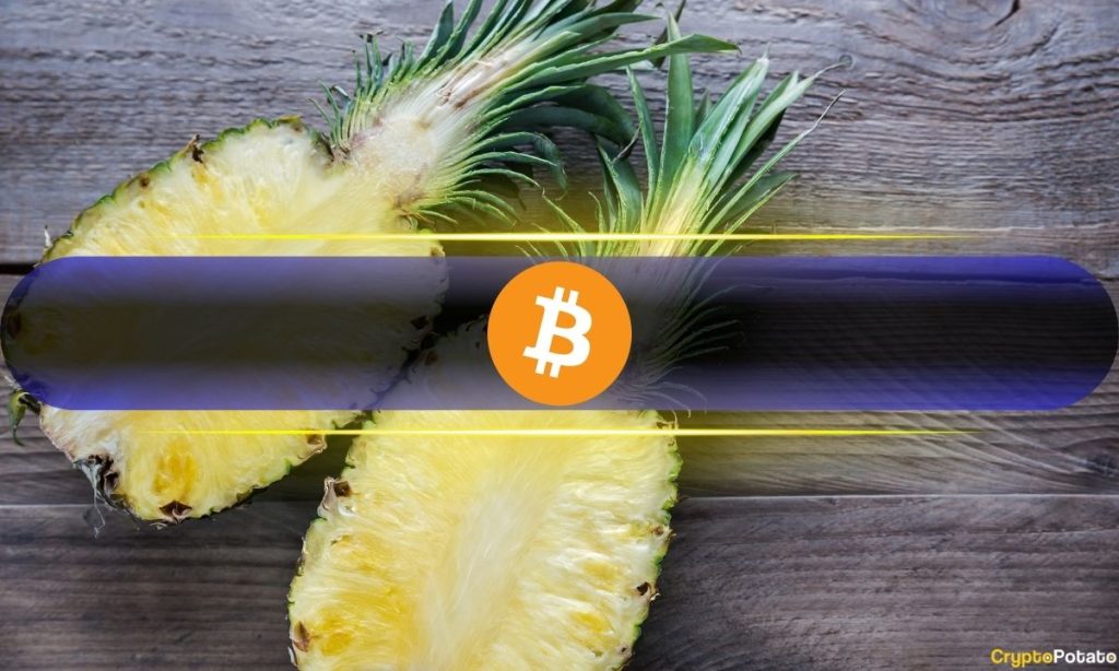Bitcoin’s Current 18% Retrace Is Right on Schedule and Is Actually Good News: Here’s Why