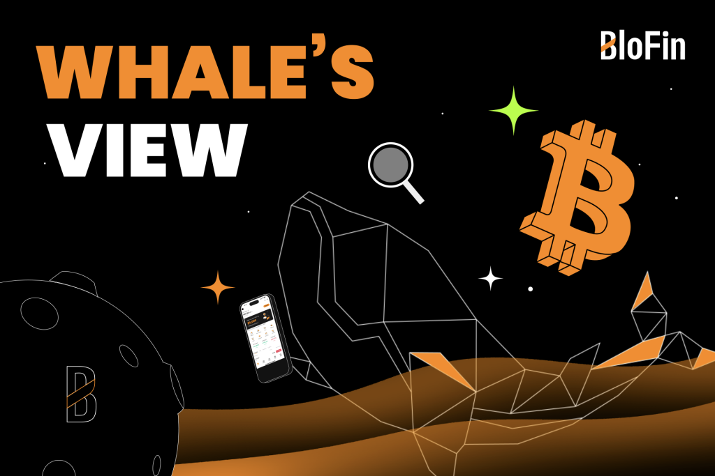 Blofin Whales’ View: War, Gold and Crypto Blofin Whales’ View: War, Gold and Crypto