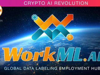 WorkML.ai: Real World Data Annotation Hub Empowers AI with Crypto