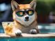 Shiba Inu SHIB Shibarium