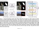 This Study by UC Berkeley and Tel Aviv University Enhances Task Adaptability in Computer Vision Models Using Internal Network Task Vectors