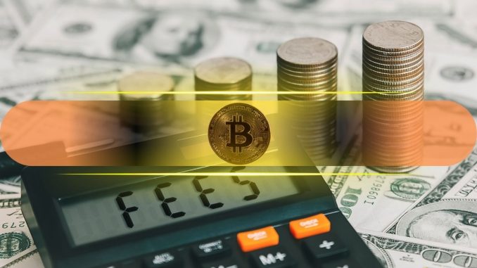 Transaction Fees Plunge to 35% of Bitcoin Miner Revenue Post-Halving: CryptoQuant