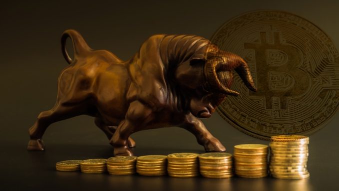 Bitcoin Bull