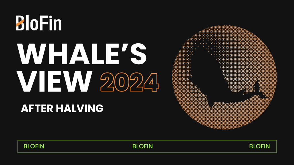 BloFin Whales’ View: After Halving