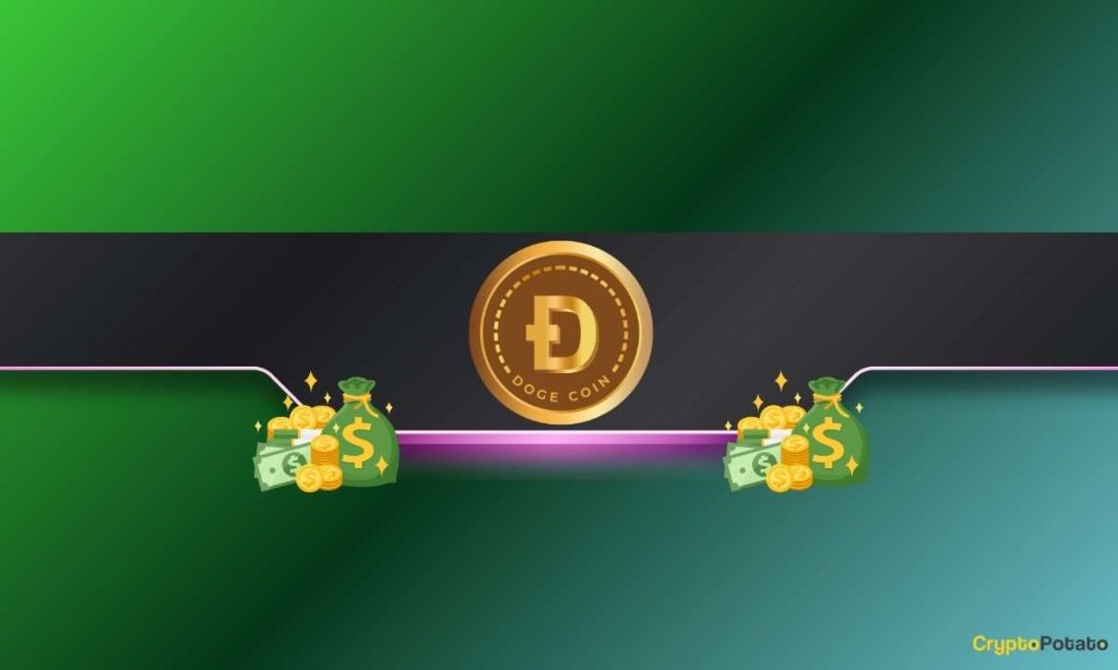 Here’s How Many DOGE HODLers are Currently in Profit