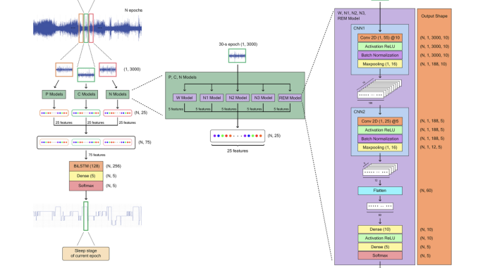 Meet ZleepAnlystNet: A Novel Deep Learning Model for Automatic Sleep Stage Scoring based on Single-Channel Raw EEG Data Using Separating Training