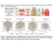 Researchers at Arizona State University Evaluates ReAct Prompting: The Role of Example Similarity in Enhancing Large Language Model Reasoning