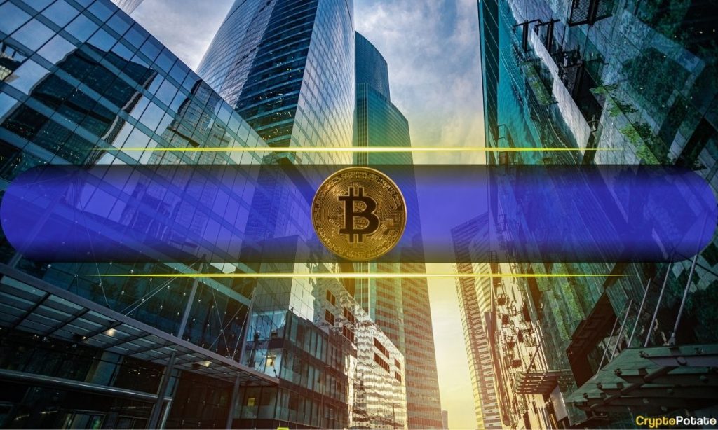 These Bitcoin (BTC) Investors Resume Accumulation Spree After 5-Month Hiatus: Glassnode