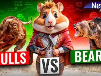 Crypto Explained for Beginners: Bulls vs Bears 🐃🐻 Hamster Kombat: Hamster Academy