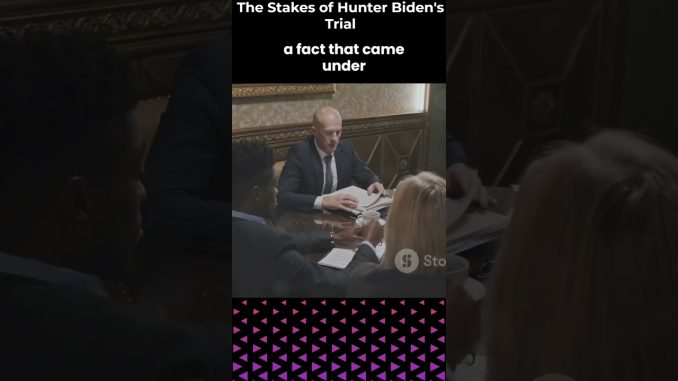 Infobriefs: Hunter Biden's Legal Troubles #news #law #politics #usa #ai #bidenadmin