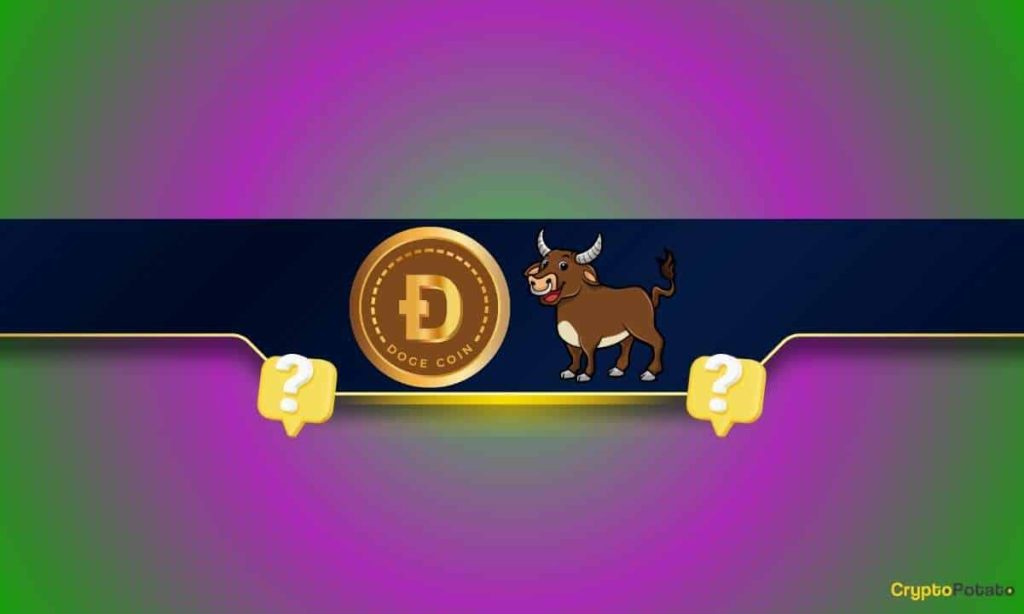What’s Next for the Meme Coin