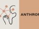 Anthropic Unveils Initiative to Enhance Third-Party AI Model Evaluations