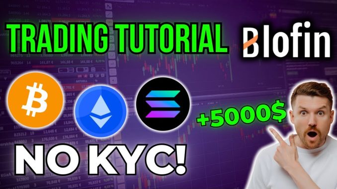 Bitcoin Trading Tutorial for Beginners! ✅ Best Crypto Exchange (No KYC!) | Blofin Tutorial