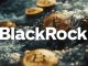 BlackRock’s IBIT sees second outflow since launch