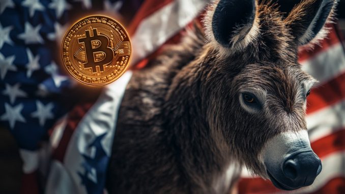 Democrat leaders back positive crypto reform in 2024, but community remains divided