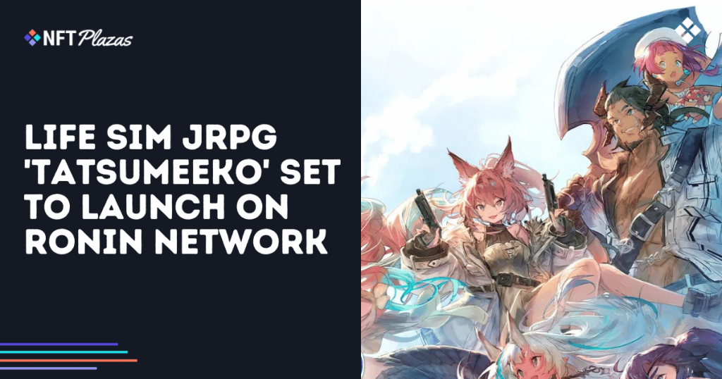 Life Sim JRPG ‘Tatsumeeko’ Set to Launch on Ronin Network