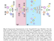 TempoKGAT: Enhancing Temporal Graph Analysis with Time-Decaying Weights and Selective Neighbor Aggregation