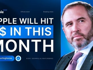 Brad Garlinghouse: Ripple Responds To The SEC's $2 Billion Fine! XRP PRICE PREDICTION