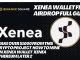 Xenea Wallet Free Airdrop Full Guide | Make Over $1000 from This crypto Project | জেনিয়া ওয়ালেট