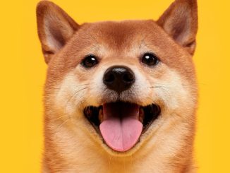 Dogecoin Price Jumps to Weekly High After Bitcoin Smashes $100K Milestone