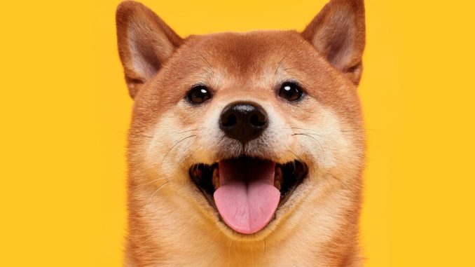 Dogecoin Price Jumps to Weekly High After Bitcoin Smashes $100K Milestone