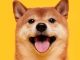 Dogecoin Price Jumps to Weekly High After Bitcoin Smashes $100K Milestone