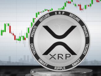 The Year in XRP: 7-Year High Price, Ripple vs SEC, and ETF Hopes Grow