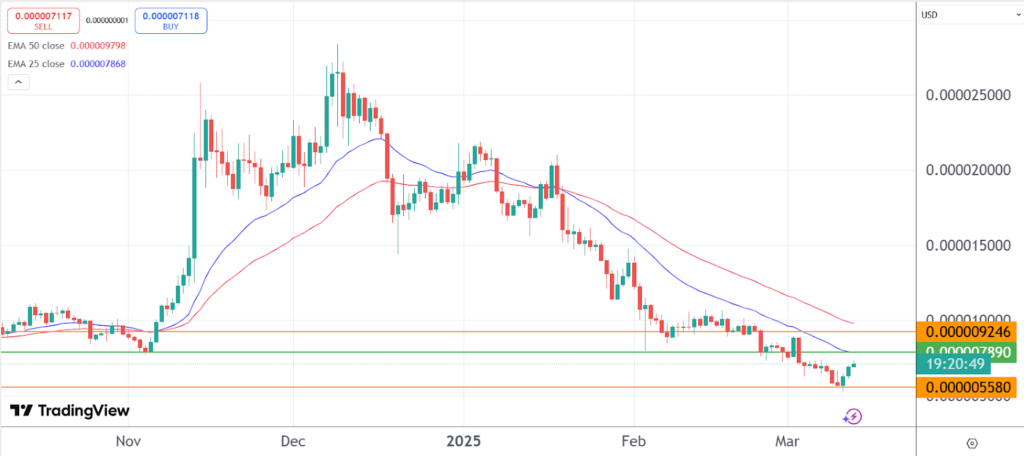 Bitcoin Pepe momentum gains steam as crypto market crashes