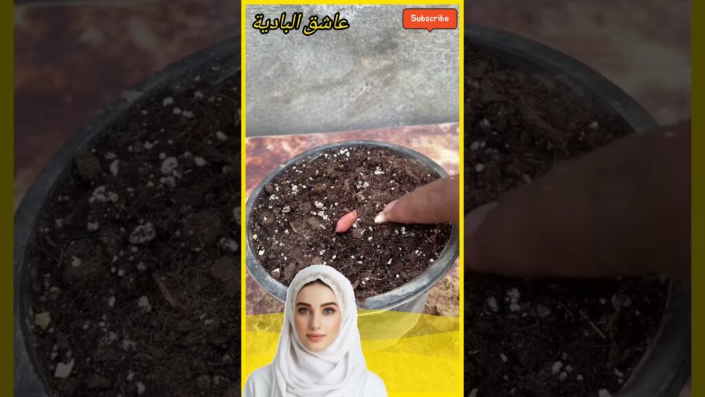 زراعة القول السوداني في المنزل ..نتائج مذهلة !!!؟ #fyee #news #cat #ai #اكسبلور #عاجل #دويتو #funny