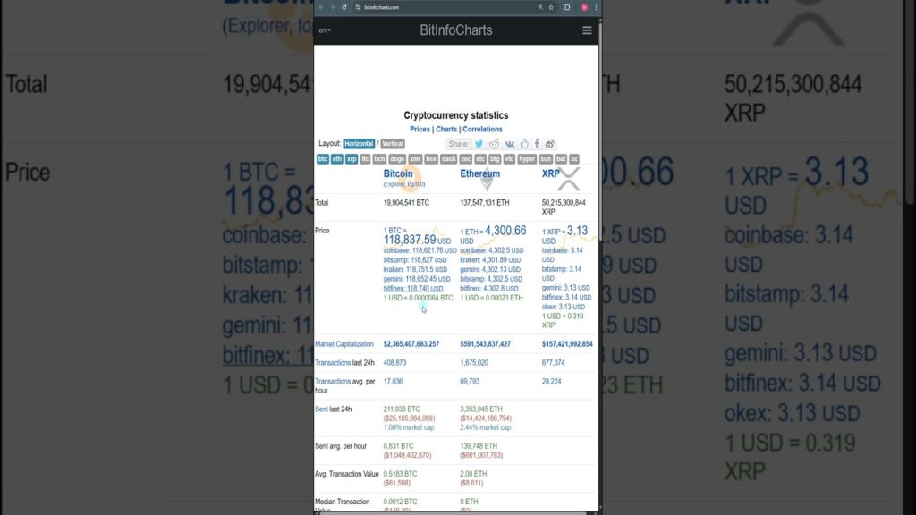 Best website for crypto market study for beginners