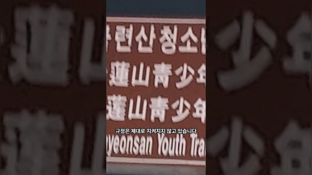 바로News를 AI로 편집해 보니까2